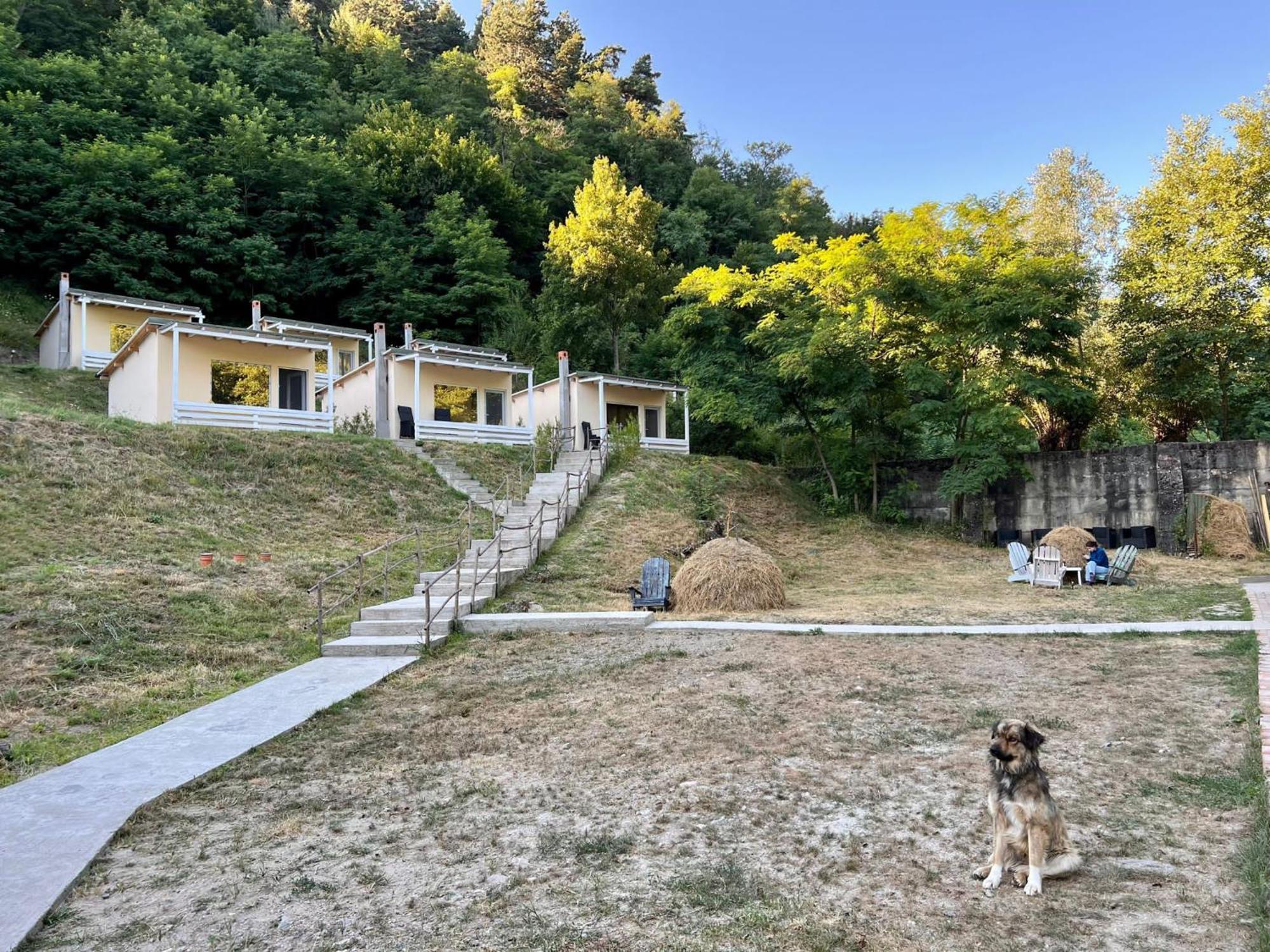 Bungalow Casa Corbilor Appartement Stanesti  Buitenkant foto